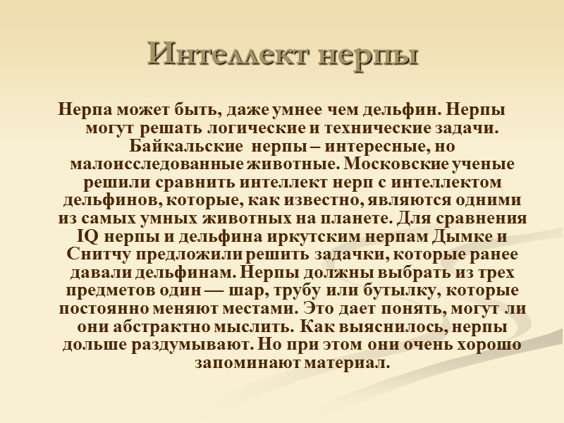 Интеллект нерпы Нерпа может быть, даже умнее чем дельфин. Нерпы могут решать логические Интеллект нерпы Нерпа может быть, даже умнее чем дельфин. Нерпы могут решать логические